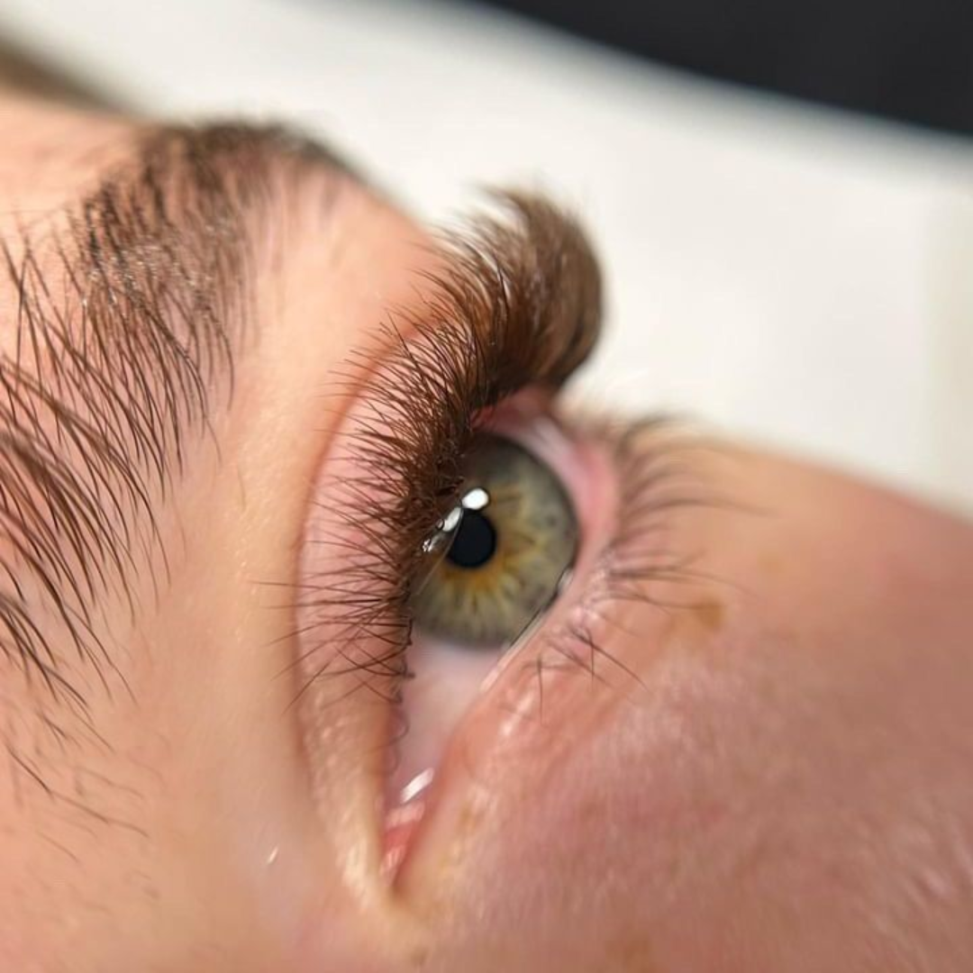 9D Volume - 1000 Fans Promade Volume Fans For Professional Eyelash Extension - Pinneacle Lash
