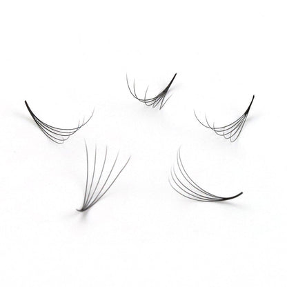 2100 Fans | 21 sizes in 1 | 8D volume | 7 lengths from 9-15mm |  3 curls : C, CC & D |