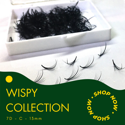 Wispy 500 Fans | 7D volume | C curl | 13mm (spike 15mm)