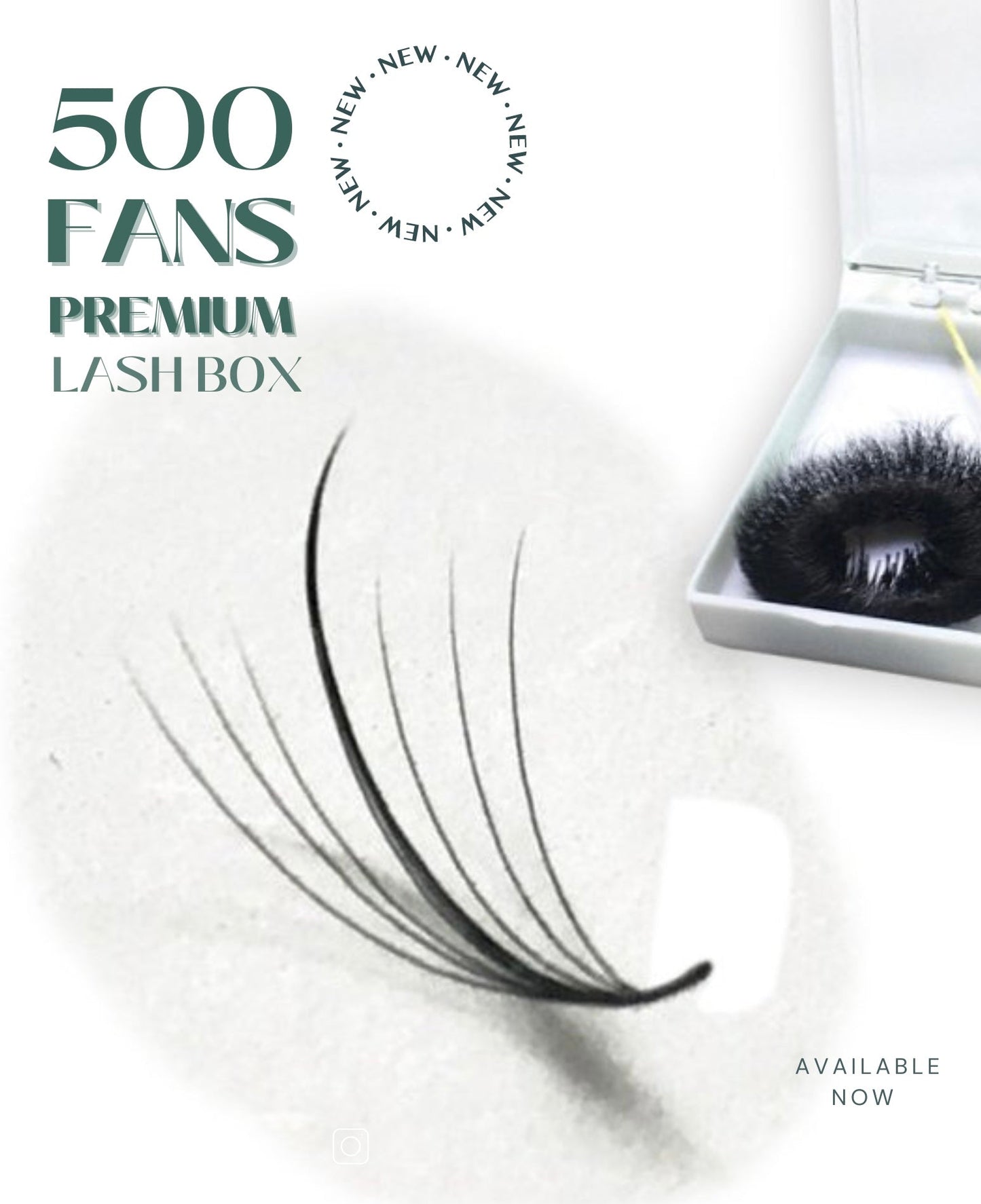 Wispy 500 Fans | 7D volume | C curl | 13mm (spike 15mm)