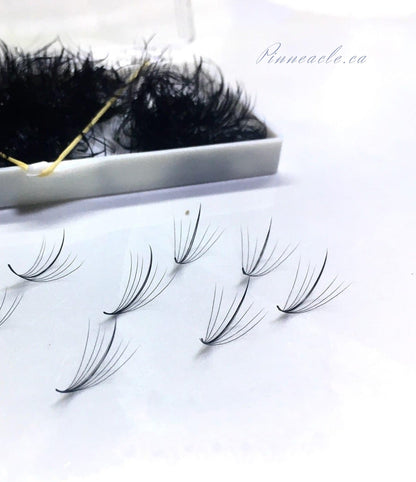 Wispy 500 Fans | 7D volume | C curl | 18mm (spike 20mm)