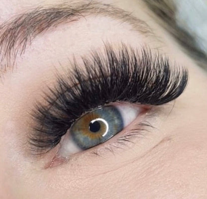 16D Volume 0.03- 1000 Fans Promade Volume Fans For Professional Eyelash Extension - Pinneacle Lash