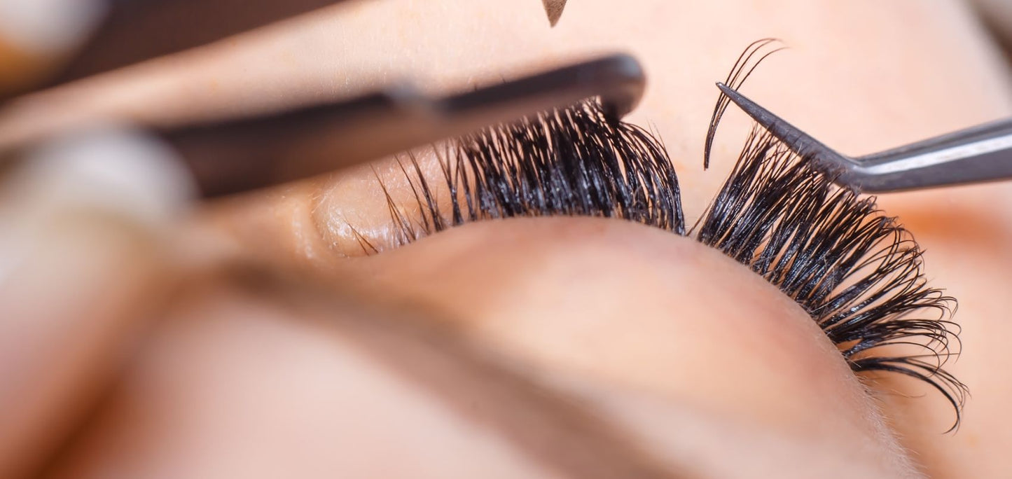 Pack of 5 - Double Layer Promade 10D 500 Fans - For Professional Eyelash Extension - Pinneacle Lash