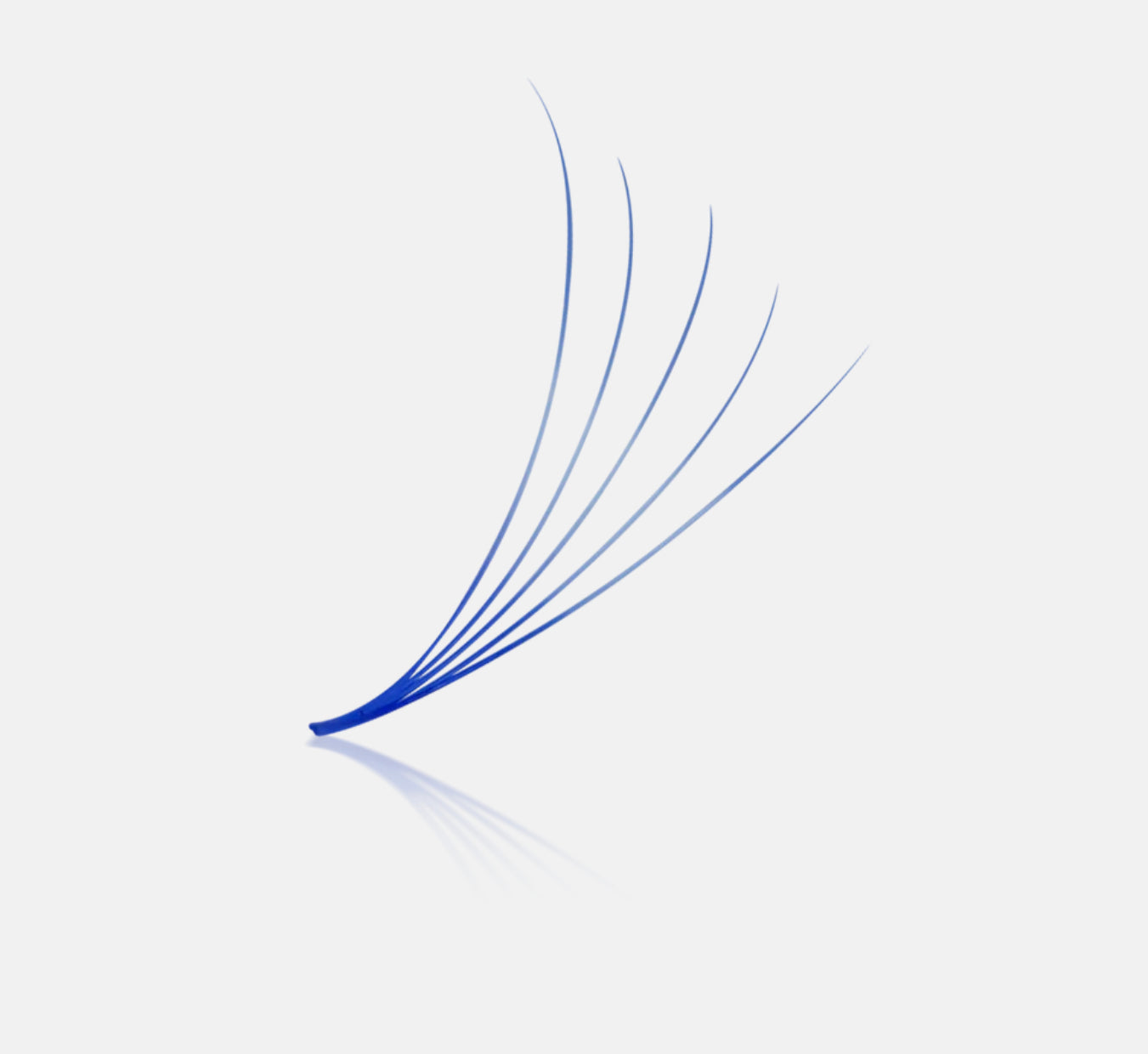 Colored Fans - 1200 Fans - 8 Sizes In 1 Box - 4D Volume