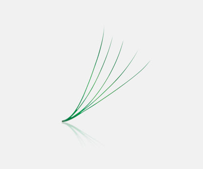 Colored Fans - 1200 Fans - 8 Sizes In 1 Box - 4D Volume