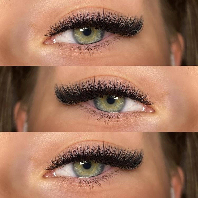 10D Promade Fans - XXL Box | Volume 1200 Fans | Premade volume fans for professional eyelash extension