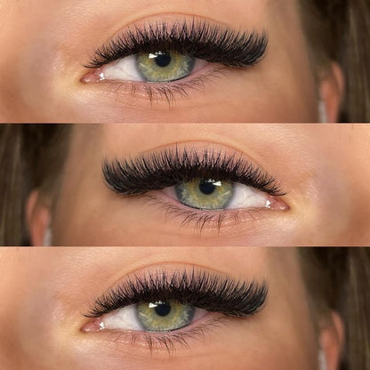 10D Promade Fans - XXL Box | Volume 1200 Fans | Premade volume fans for professional eyelash extension