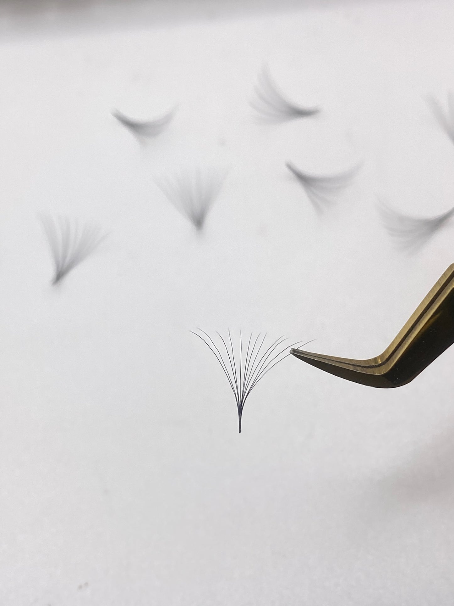 16D Volume 0.03- 1000 Fans Promade Volume Fans For Professional Eyelash Extension - Pinneacle Lash