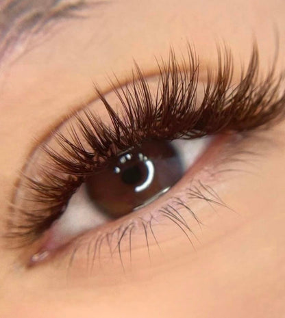 Coco Brown Classic Tray 0.07 C, CC, D, B, M, L, L+, LC, LD - Pinneacle Lash - Lash Supply For Professional Eyelash Extension