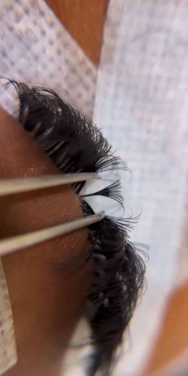 16D Volume 0.03- 1000 Fans Promade Volume Fans For Professional Eyelash Extension - Pinneacle Lash