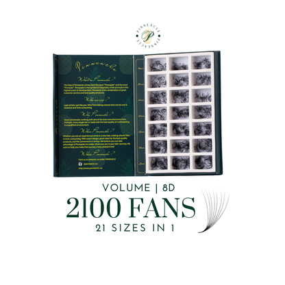2100 Fans | 21 sizes in 1 | 8D volume | 7 lengths from 9-15mm |  3 curls : C, CC & D |