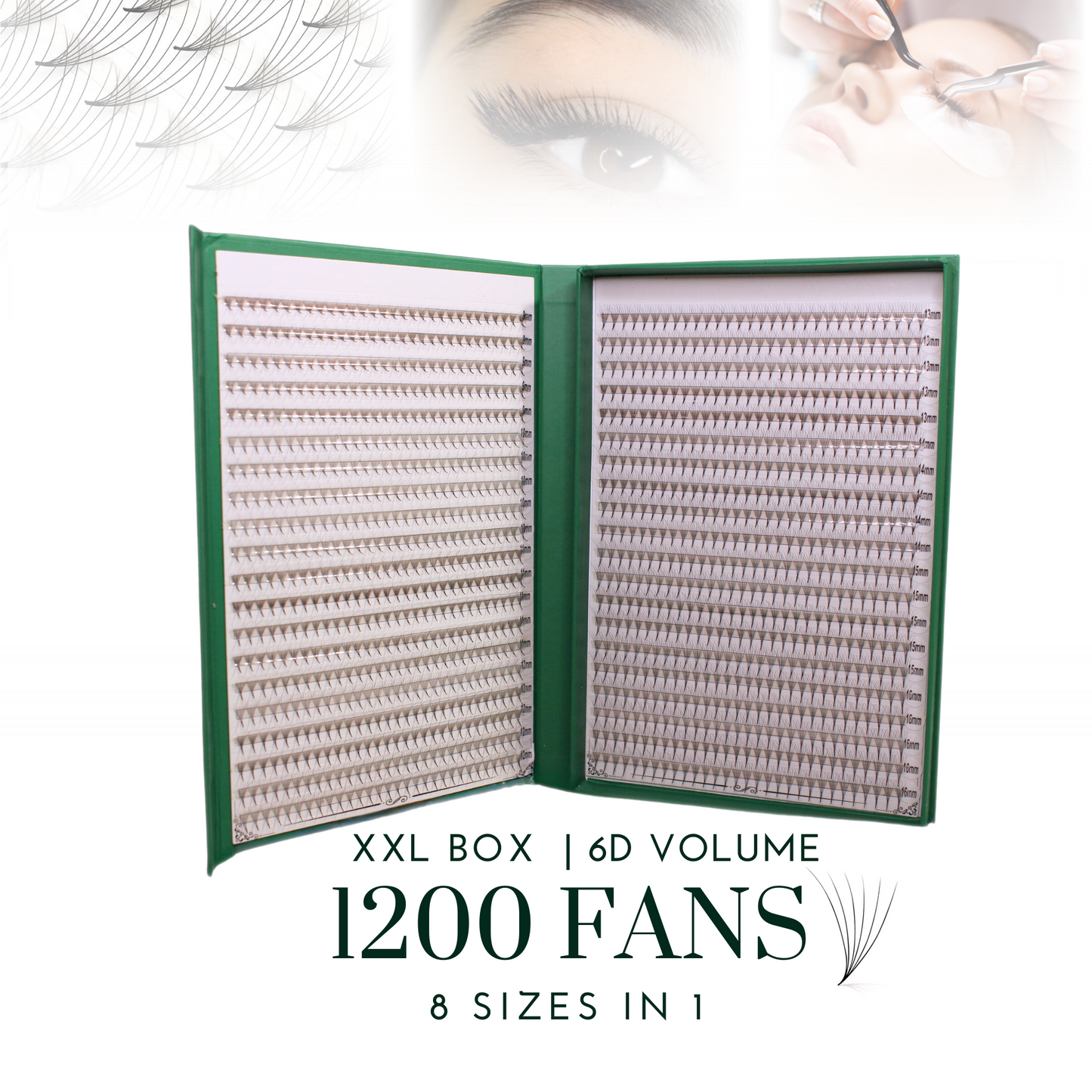 XXL Box 1200 Fans | 6D volume | 40 Lines| 8 sizes in 1 |  Premade Volume Fans