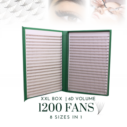 XXL Box 1200 Fans | 6D volume | 40 Lines| 8 sizes in 1 |  Premade Volume Fans