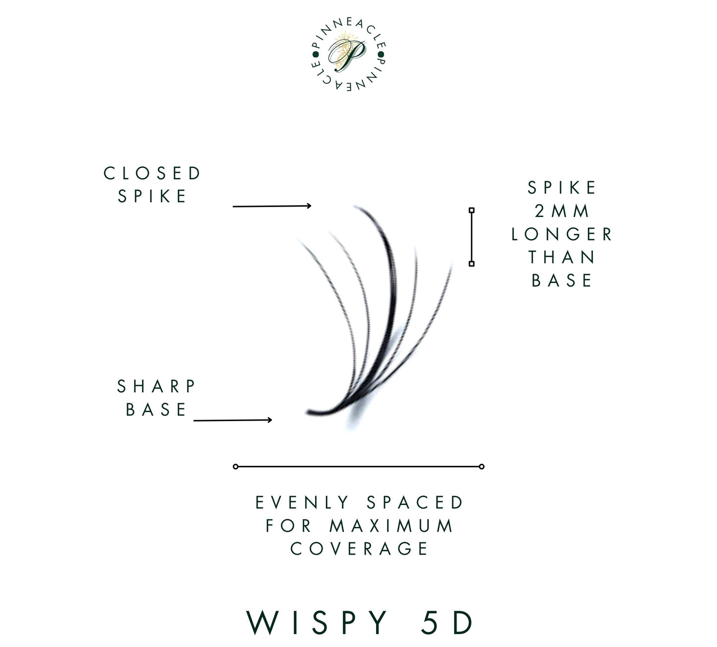 Wispy 500 Fans - Pack of 9 - 5D volume