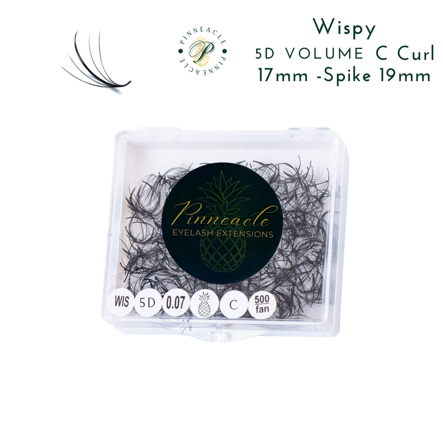 Wispy 500 Fans | 5D volume | C curl | 17mm (spike 19mm)