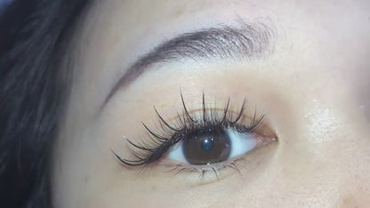 Wispy 500 Fans | 7D volume | C curl | 13mm (spike 15mm)